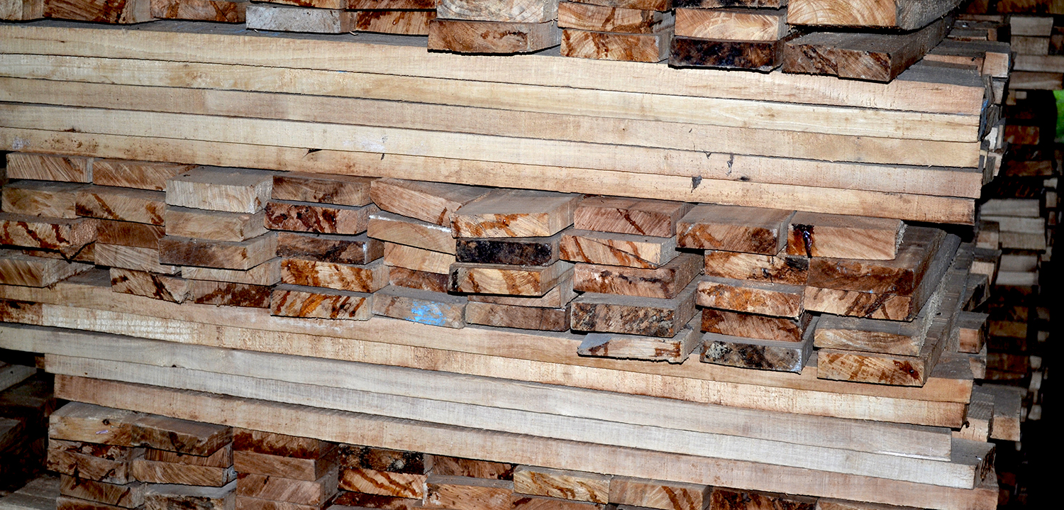 Knobelholz Rohmaterial Samanea Holz auxh Monkey Pod genannt